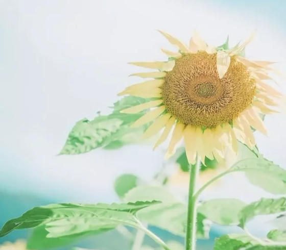炎炎夏日，这些伤肾的生活小细节，你注意了吗？